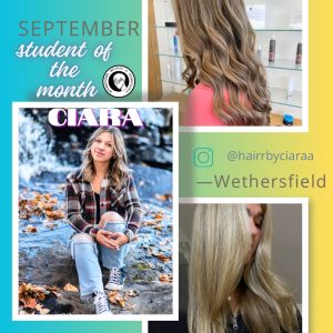 collage of ciara's work