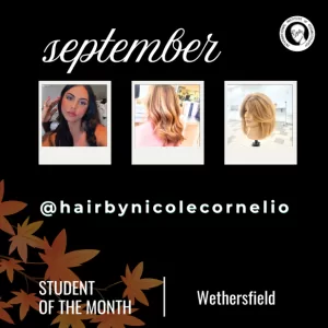 collage of nicoles work