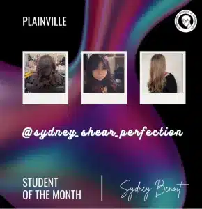 collage of sydney's work