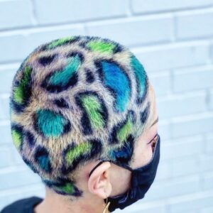 Colorful Cheetah Hair Style