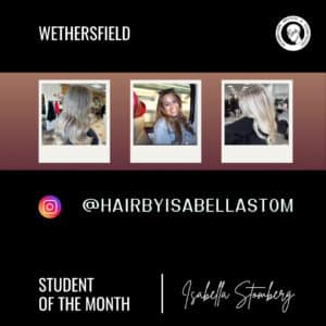 collage of isabella's work